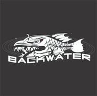 Backwater